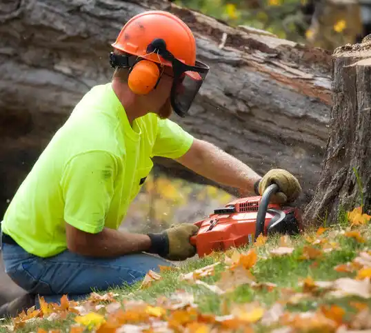 tree services Lake Arbor